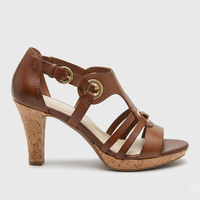 Brown Terra
